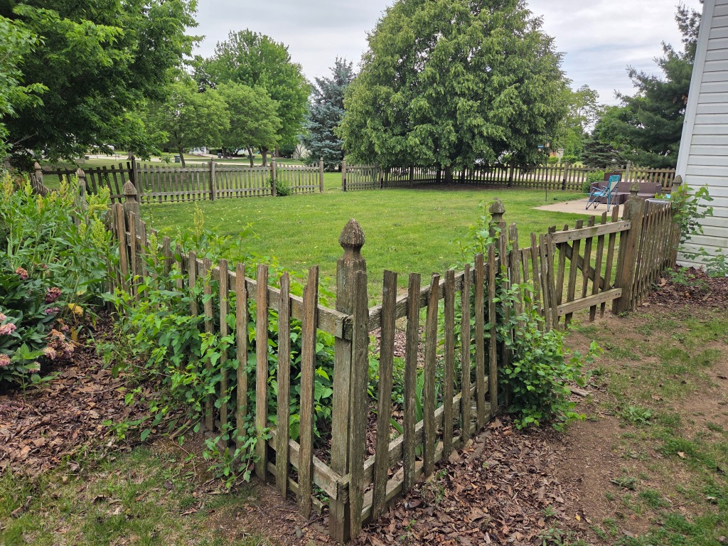 Weathered Old Fence Before Replacement